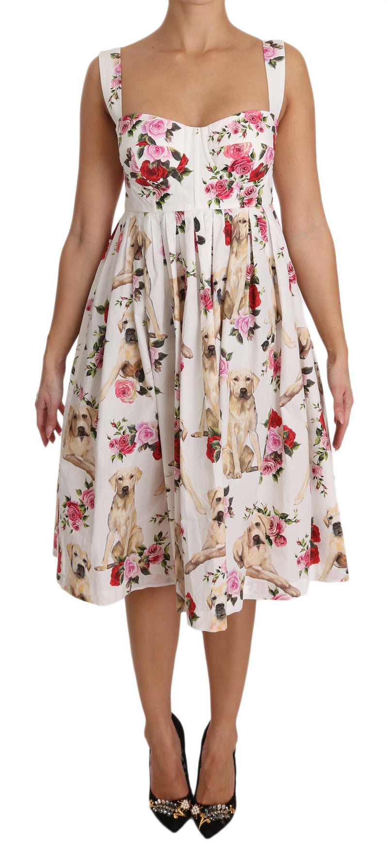 White Cotton Labrador Dog Roses Dress