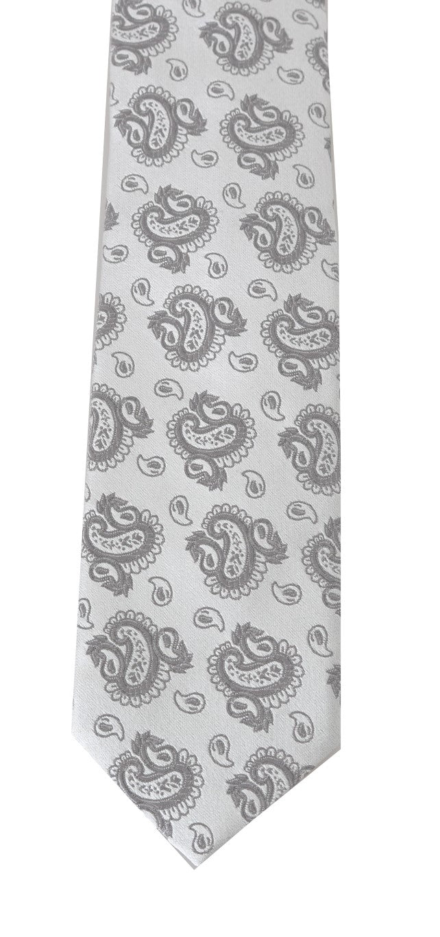 Gray Silk Paisley Print Classic Tie