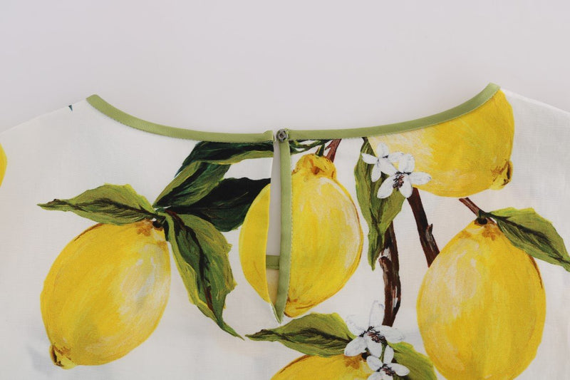 Multicolor Lemon-Print Floral Top Blouse