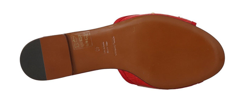 Red Caiman Crystal Slides Sandals
