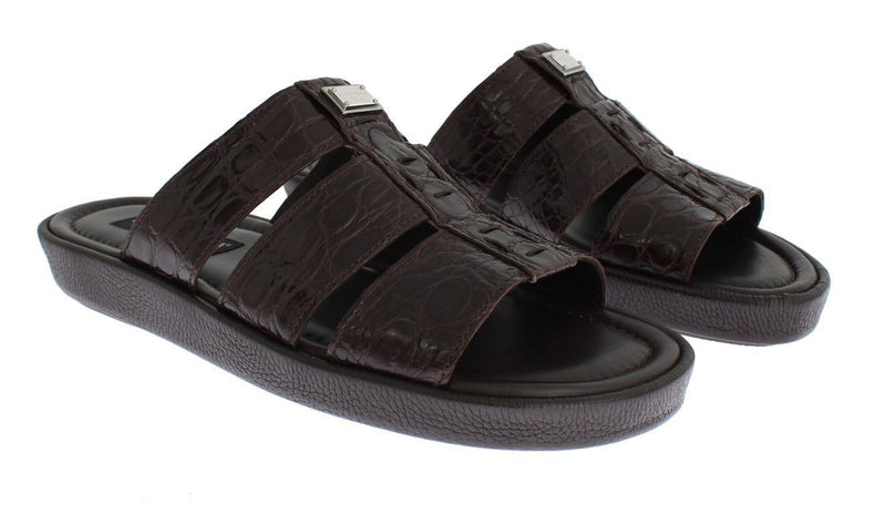 Brown Caiman Crocodile Leather Sandal Shoes