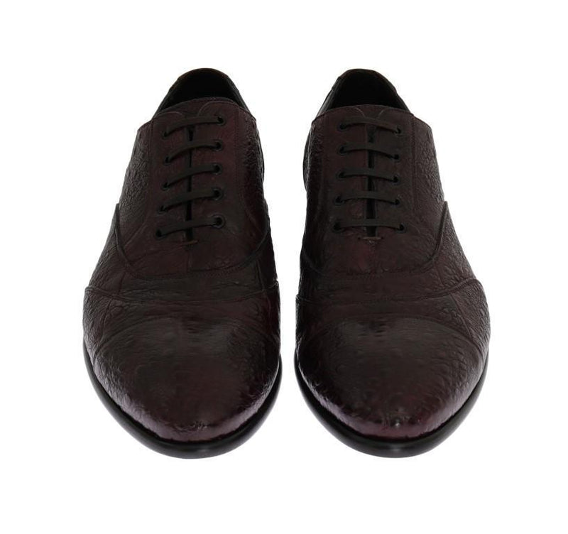 Bordeaux Frog Skin Leather Derby Shoes