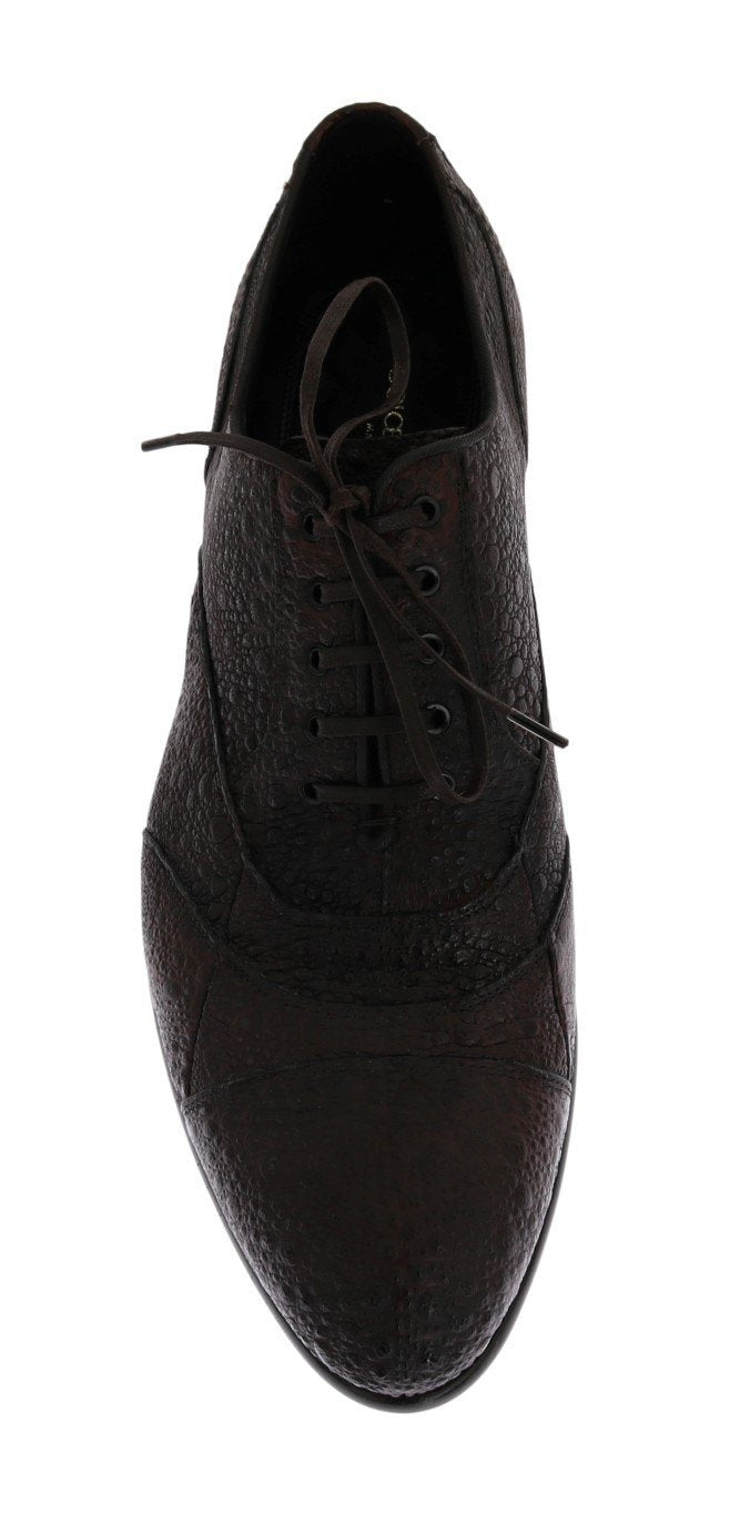 Brown Frog Skin Leather Derby Shoes