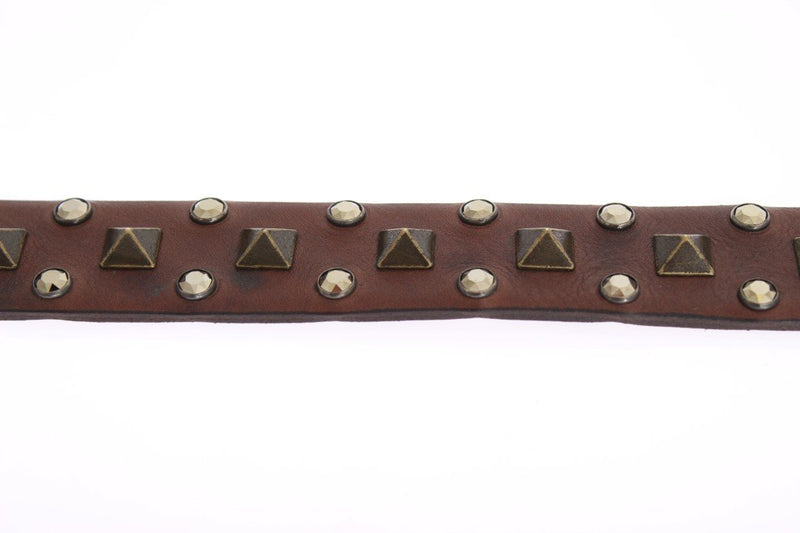 Brown Leather Gold Buckle Studded Belt