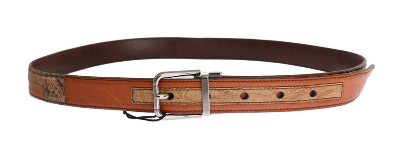 Brown Cayman Leather Snakeskin Belt