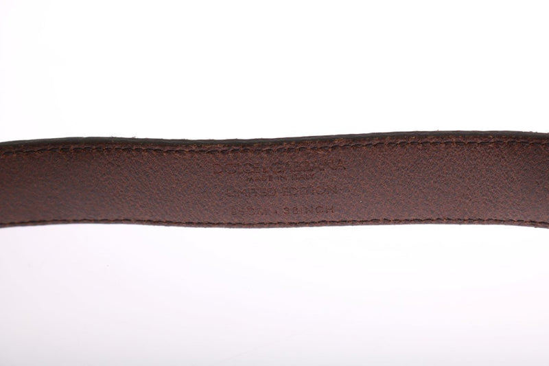 Brown Cayman Leather Snakeskin Belt