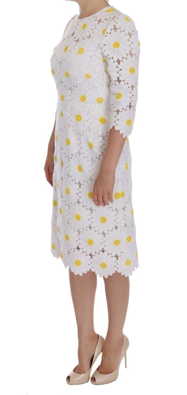 White Chamomile Knee Length Sheath Dress