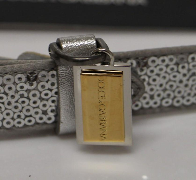 Silver Silk Sequined Silver Logo Belt
